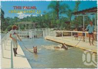 <span class="caption-caption">Horse taking a daily dip in the modern horse swimming pool, The Palms Horse Stud Farm, Gold Coast, only 10 kms from Surfers Paradise at Nerang</span>, c1970-2000. <br />Postcard, collection of <span class="caption-contributor">Murray Views Collection</span>.