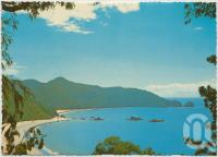 <span class="caption-caption">Hibiscus Coast, beaches at Cape Hillsborough Tourist Resort and National Park, via Mackay</span>, c1970-2000. <br />Postcard, collection of <span class="caption-contributor">Murray Views Collection</span>.