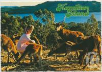 <span class="caption-caption">Hamilton Island, In the heart of the Whitsundays, Great Barrier Reef.</span>, c1970-2000. <br />Postcard, collection of <span class="caption-contributor">Murray Views Collection</span>.