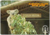 <span class="caption-caption">Wee Willy Wonka, a special guest at the Koala Hilton, Hamilton Island Fauna Park</span>, c1970-2000. <br />Postcard, collection of <span class="caption-contributor">Murray Views Collection</span>.