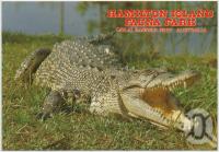 <span class="caption-caption">Saltwater or Estuarine Crocodile, Hamilton Island Fauna Park</span>, c1970-2000. <br />Postcard, collection of <span class="caption-contributor">Murray Views Collection</span>.