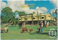 <span class="caption-caption">Children attending to miniature Fallabella horses on the lawns at The Palms - only 10kms from Surfers Paradise at Nerang, The Palms Horse Stud Farm</span>, c1970-2000. <br />Postcard, collection of <span class="caption-contributor">Murray Views Collection</span>.