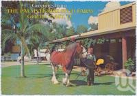 <span class="caption-caption">The Palms Horse Stud Farm, "Jazz" - the Big Clydesdale Stallion strolling the Park, Nerang</span>, c1970-2000. <br />Postcard, collection of <span class="caption-contributor">Murray Views Collection</span>.