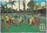 <span class="caption-caption">Children playing with the miniature horses - always friendly and love kind people at The Palms Horse Stud Farm, 10kms from Surfers Paradise at Nerang</span>, c1970-2000. <br />Postcard, collection of <span class="caption-contributor">Murray Views Collection</span>.