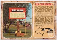 <span class="caption-caption">The Red Stump, Boulia</span>, c1970-2000. <br />Postcard, collection of <span class="caption-contributor">Murray Views Collection</span>.