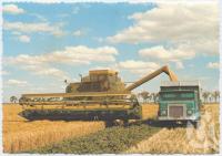 <span class="caption-caption">Harvesting oats on Les Sands property, Jandowae</span>, c1970-2000. <br />Postcard, collection of <span class="caption-contributor">Murray Views Collection</span>.