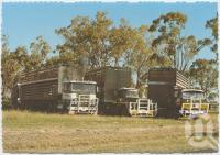 <span class="caption-caption">Andrews Livestock Transport, Jandowae</span>, c1970-2000. <br />Postcard, collection of <span class="caption-contributor">Murray Views Collection</span>.