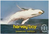 <span class="caption-caption">Hervey Bay</span>, c1970-2000. <br />Postcard, collection of <span class="caption-contributor">Murray Views Collection</span>.