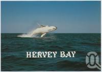 <span class="caption-caption">Hervey Bay</span>, c1970-2000. <br />Postcard, collection of <span class="caption-contributor">Murray Views Collection</span>.