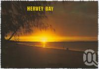 <span class="caption-caption">Evening approaches as the fisherman tries his luck at the water's edge, Hervey Bay</span>, c1970-2000. <br />Postcard, collection of <span class="caption-contributor">Murray Views Collection</span>.