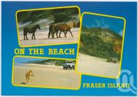 <span class="caption-caption">Fraser Island</span>, c1970-2000. <br />Postcard, collection of <span class="caption-contributor">Murray Views Collection</span>.