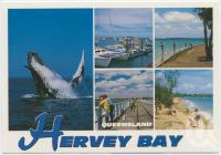 <span class="caption-caption">Australia's aquatic playground, Hervey Bay</span>, c1970-2000. <br />Postcard, collection of <span class="caption-contributor">Murray Views Collection</span>.