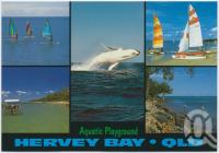 <span class="caption-caption">Hervey Bay, Australia's Aquatic Playground</span>, c1970-2000. <br />Postcard, collection of <span class="caption-contributor">Murray Views Collection</span>.
