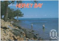 <span class="caption-caption">Fishing at Hervey Bay, a favourite pastime</span>, c1970-2000. <br />Postcard, collection of <span class="caption-contributor">Murray Views Collection</span>.