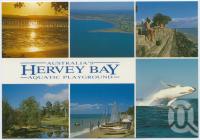 <span class="caption-caption">Australia's Aquatic Playground, Hervey Bay</span>, c1970-2000. <br />Postcard, collection of <span class="caption-contributor">Murray Views Collection</span>.