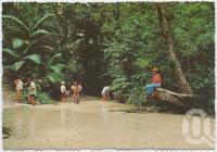 <span class="caption-caption">Fraser Island</span>, c1970-2000. <br />Postcard, collection of <span class="caption-contributor">Murray Views Collection</span>.