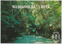 <span class="caption-caption">Wanggoolba Creek at Central Station, Fraser Island</span>, c1970-2000. <br />Postcard, collection of <span class="caption-contributor">Murray Views Collection</span>.