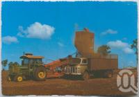 <span class="caption-caption">Bulk harvester-thresher tipping the crop into a waiting truck ready for transport to the silos, Kingaroy</span>, c1970-2000. <br />Postcard, collection of <span class="caption-contributor">Murray Views Collection</span>.
