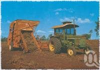 <span class="caption-caption">After the harvest the peanuts are put through the thresher that picks up the crop and separates the peanuts from the stubble, Kingaroy</span>, c1970-2000. <br />Postcard, collection of <span class="caption-contributor">Murray Views Collection</span>.