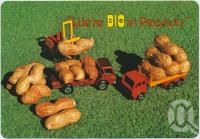 <span class="caption-caption">We're big in peanuts, Kingaroy</span>, c1970-2000. <br />Postcard, collection of <span class="caption-contributor">Murray Views Collection</span>.