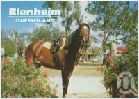 <span class="caption-caption">Blenheim</span>, c1970-2000. <br />Postcard, collection of <span class="caption-contributor">Murray Views Collection</span>.