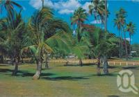<span class="caption-caption">Seaforth Park, with its many trees and coconut palms swaying in the breeze</span>, c1970-2000. <br />Postcard, collection of <span class="caption-contributor">Murray Views Collection</span>.