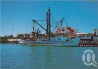 <span class="caption-caption">"Tijuana", Prawn Trawler, owned by one of Karumba's local identities, Karumba, The Gulf Country</span>, c1970-2000. <br />Postcard, collection of <span class="caption-contributor">Murray Views Collection</span>.