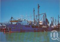 <span class="caption-caption">"Senhora de Fatima", Prawn Trawler which unloads products and re-store out of Karumba</span>, c1970-2000. <br />Postcard, collection of <span class="caption-contributor">Murray Views Collection</span>.