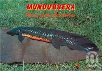 <span class="caption-caption">Queensland Lungfish, Mundubbera</span>, c1970-2000. <br />Postcard, collection of <span class="caption-contributor">Murray Views Collection</span>.