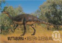 <span class="caption-caption">Muttaburrasaurus Langdoni, Muttaburra</span>, c1970-2000. <br />Postcard, collection of <span class="caption-contributor">Murray Views Collection</span>.