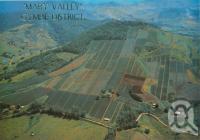 <span class="caption-caption">Mary Valley, pineapple farms on the steep volcanic slopes at Dagun</span>, c1986. <br />Postcard by <span class="caption-publisher">Murray Views Pty Ltd</span>, collection of <span class="caption-contributor">Centre for the Government of Queensland</span>.