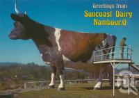 <span class="caption-caption">The Big Ayrshire Cow, Nambour</span>, c1980. <br />Postcard by <span class="caption-publisher">Murray Views Pty Ltd</span>, collection of <span class="caption-contributor">Centre for the Government of Queensland</span>.