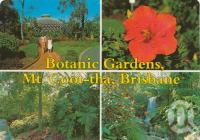 <span class="caption-caption">Botanic Gardens, Mount Coot-tha</span>, c1980. <br />Postcard by <span class="caption-publisher">Murray Views Pty Ltd</span>, collection of <span class="caption-contributor">Centre for the Government of Queensland</span>.