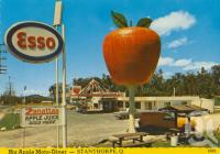 <span class="caption-caption">Big Apple Moto-Diner, Stanthorpe</span>, c1962. <br />Postcard by <span class="caption-publisher">David Lee & Associates</span>, collection of <span class="caption-contributor">Centre for the Government of Queensland</span>.
