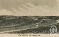 <span class="caption-caption">Canefields, Childers</span>, c1945. <br />Postcard, collection of <span class="caption-contributor">Centre for the Government of Queensland</span>.