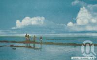 <span class="caption-caption">Rock fishing, Hervey Bay</span>, 1963. <br />Postcard folder by <span class="caption-publisher">Viewpoint Productions</span>, collection of <span class="caption-contributor">Centre for the Government of Queensland</span>.