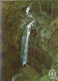 <span class="caption-caption">Dagg's Falls, Killarney</span>, 1984. <br />Postcard folder by <span class="caption-publisher">Murray Views Pty Ltd</span>, collection of <span class="caption-contributor">Centre for the Government of Queensland</span>.