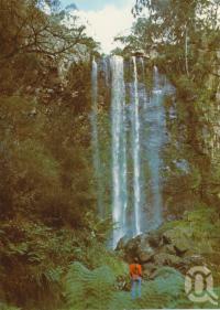 <span class="caption-caption">Queens Mary Falls from lower track, Killarney</span>, 1984. <br />Postcard folder by <span class="caption-publisher">Murray Views Pty Ltd</span>, collection of <span class="caption-contributor">Centre for the Government of Queensland</span>.