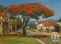 <span class="caption-caption">Blackall Street, Woombye</span>, c1972. <br />Postcard by <span class="caption-publisher">Bernard Kuskopf</span>, collection of <span class="caption-contributor">Centre for the Government of Queensland</span>.