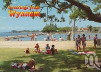 <span class="caption-caption">Picnic area and wading pool, Wynnum</span>, 1991. <br />Postcard by <span class="caption-publisher">Sunbird Souvenirs</span>, collection of <span class="caption-contributor">Centre for the Government of Queensland</span>.