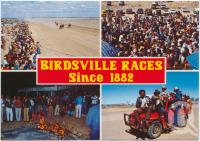 <span class="caption-caption">Birdsville Races, since 1882</span>, c1970-2000. <br />Postcard, collection of <span class="caption-contributor">Murray Views Collection</span>.