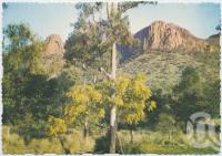 <span class="caption-caption">Virgin Rock, Springsure</span>, c1970-2000. <br />Postcard, collection of <span class="caption-contributor">Murray Views Collection</span>.