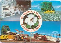 <span class="caption-caption">Cotton Industry, St George Irrigation Area</span>, c1970-2000. <br />Postcard, collection of <span class="caption-contributor">Murray Views Collection</span>.