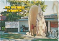 <span class="caption-caption">The Big Shell, Tewantin</span>, c1970-2000. <br />Postcard, collection of <span class="caption-contributor">Murray Views Collection</span>.