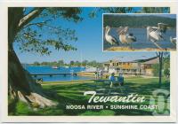 <span class="caption-caption">Tewantin, Noosa River</span>, c1970-2000. <br />Postcard, collection of <span class="caption-contributor">Murray Views Collection</span>.