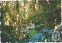 <span class="caption-caption">The Grotto, Rainforest Tourist Park, High Tor, Maleny</span>, c1970-2000. <br />Postcard, collection of <span class="caption-contributor">Murray Views Collection</span>.