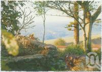 <span class="caption-caption">Looking north from the rainforest, Rainforest Tourist Park, High Tor, Maleny</span>, c1970-2000. <br />Postcard, collection of <span class="caption-contributor">Murray Views Collection</span>.