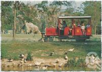 <span class="caption-caption">Tanawha World (near Nambour), Bruce Highway</span>, c1970-2000. <br />Postcard, collection of <span class="caption-contributor">Murray Views Collection</span>.