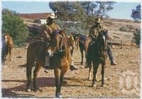 <span class="caption-caption">Aboriginal stockmen, near Birdsville</span>, c1970-2000. <br />Postcard, collection of <span class="caption-contributor">Murray Views Collection</span>.