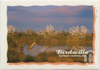 <span class="caption-caption">Birdsville</span>, c1970-2000. <br />Postcard, collection of <span class="caption-contributor">Murray Views Collection</span>.